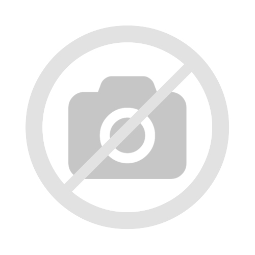 Striped Dwarf Buddha Belly Bamboo | 1 Live Plant | Bambusa Vulgaris Wamin Striata | Rare...