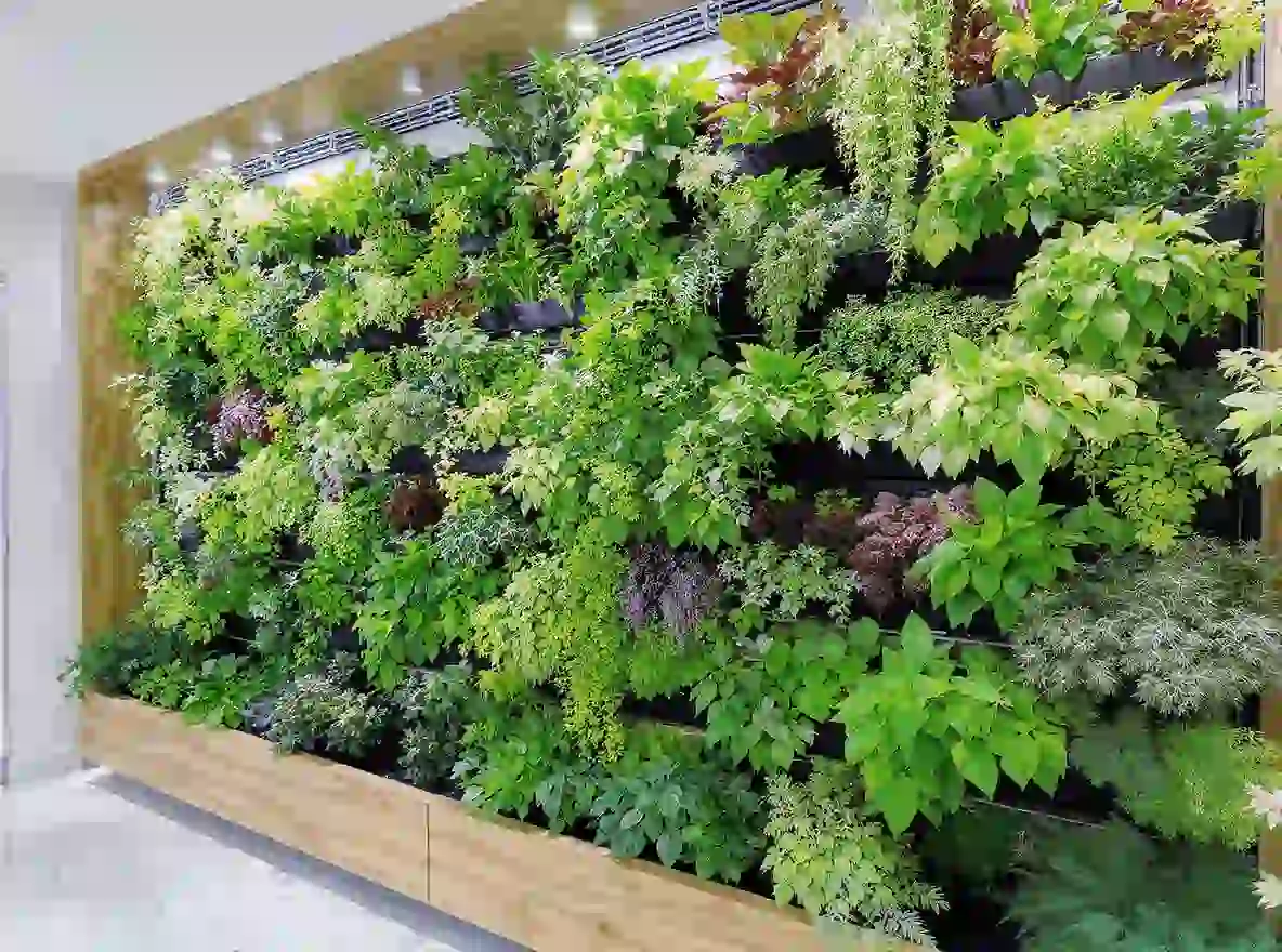 Vertical & Living Wall Garden Systems Vertical & Living Wall Garden Systems